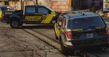 Innovative Protection Security Livery Pack